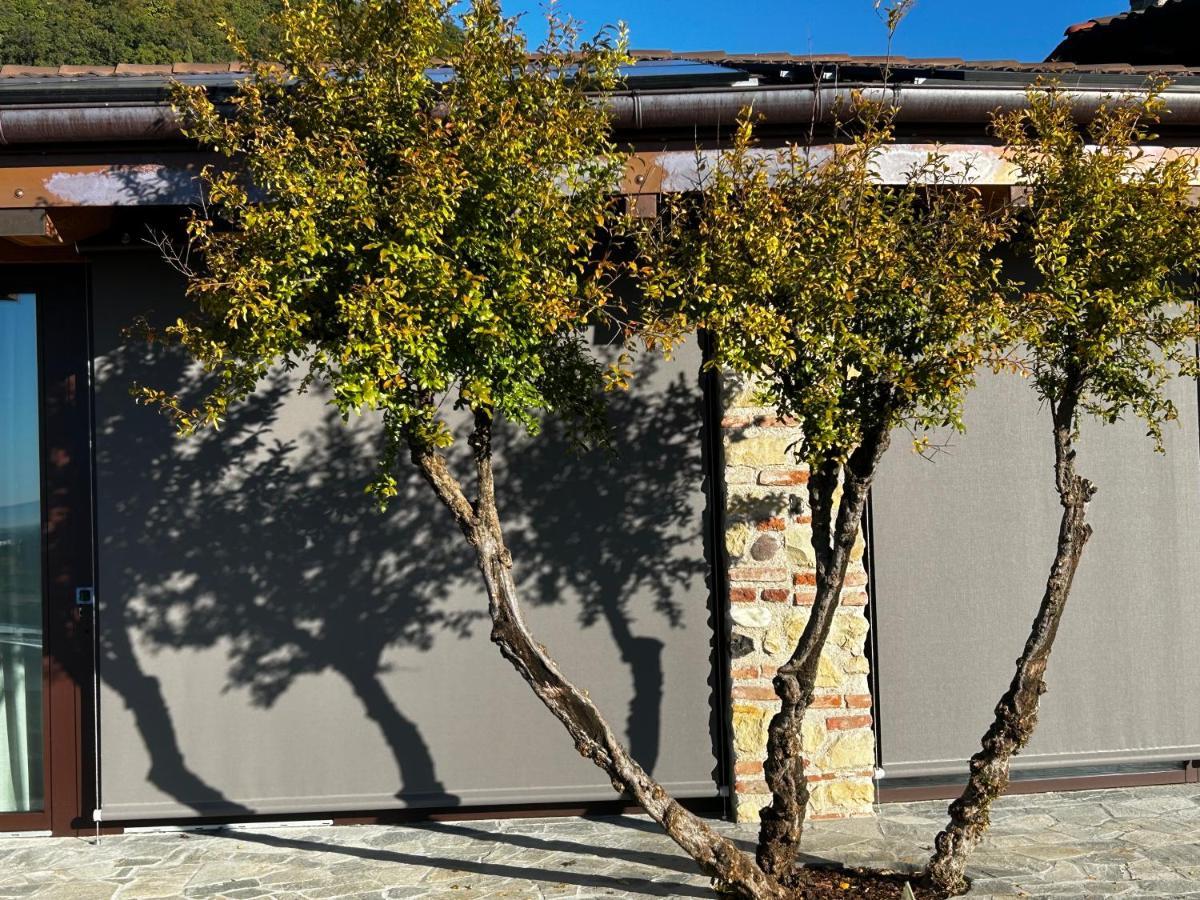 מארוסטיקה Nuovo B&B Colline San Benedetto מראה חיצוני תמונה