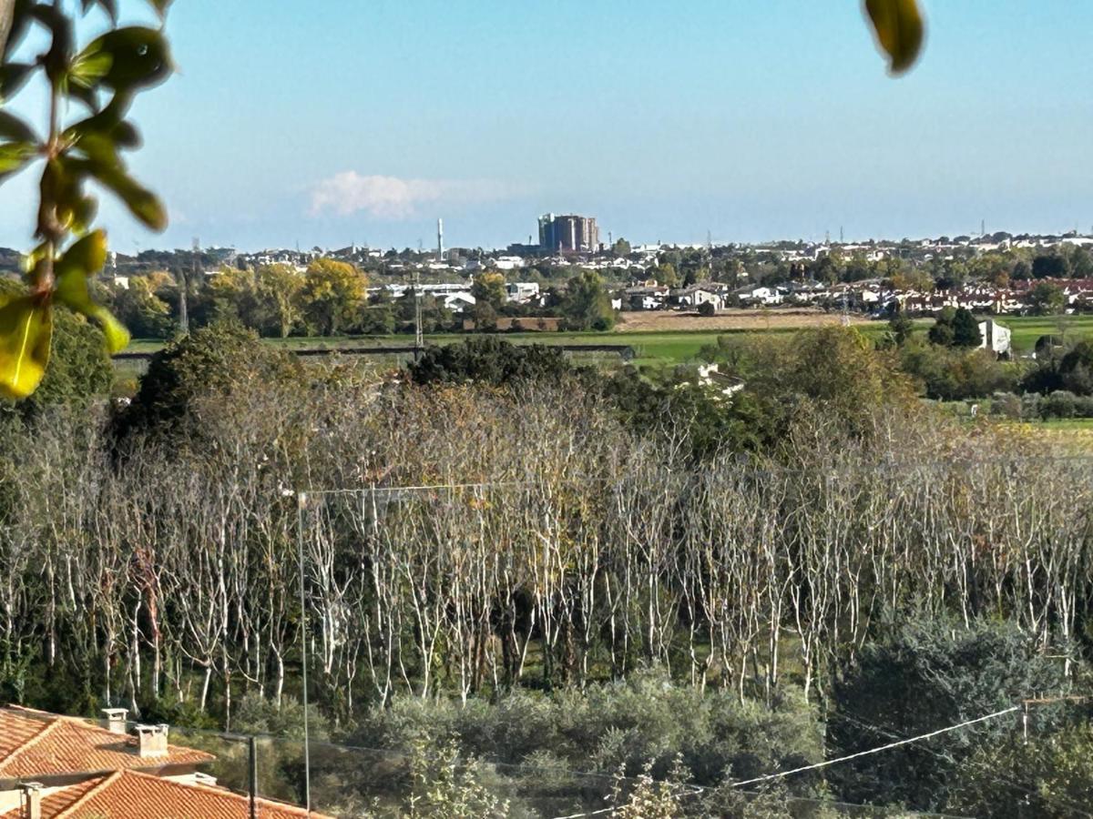 מארוסטיקה Nuovo B&B Colline San Benedetto מראה חיצוני תמונה